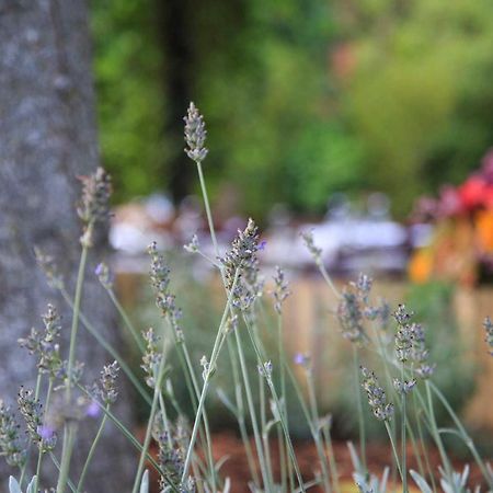 Podere La Miniera Relax & Food Sienne Extérieur photo