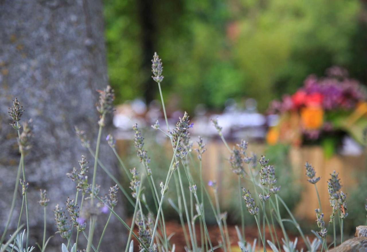 Podere La Miniera Relax & Food Sienne Extérieur photo